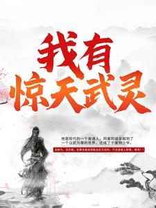 《我有惊天武灵》元枫云梦尘童金元东