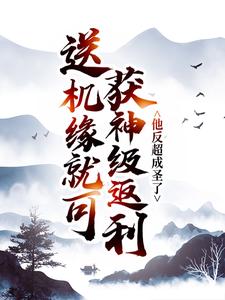 《苏长歌叶清瑶雷锋》小说