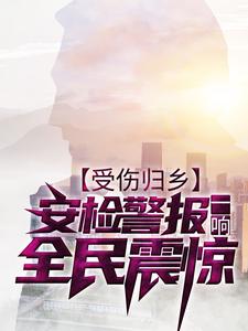 《受伤归乡，安检警报一响，全民震惊》沈邵范天雷