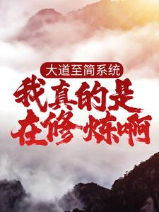 《大道至简系统：我真的是在修炼啊！》沈哲贤沧城平州城