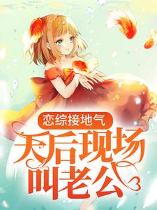 《叶枫林芷晴》小说