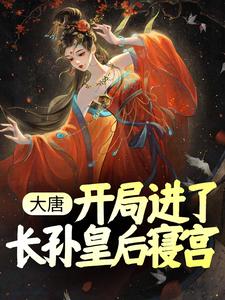 《杨华长孙无忌长孙皇后周锦》小说