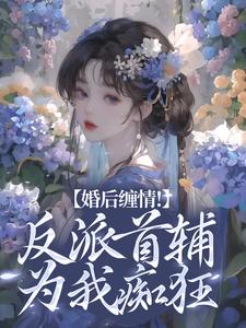 《婚后缠情！反派首辅为我痴狂》辛月影沈清起孟如心霍齐