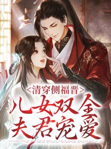 《清穿侧福晋：儿女双全夫君宠爱》宋淑柔李氏胤禛德妃