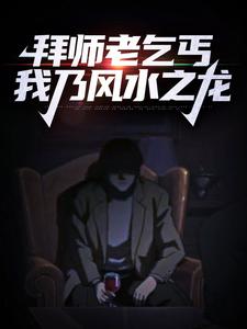 《拜师老乞丐：我乃风水之龙》陈启王国光老黄林苏荷