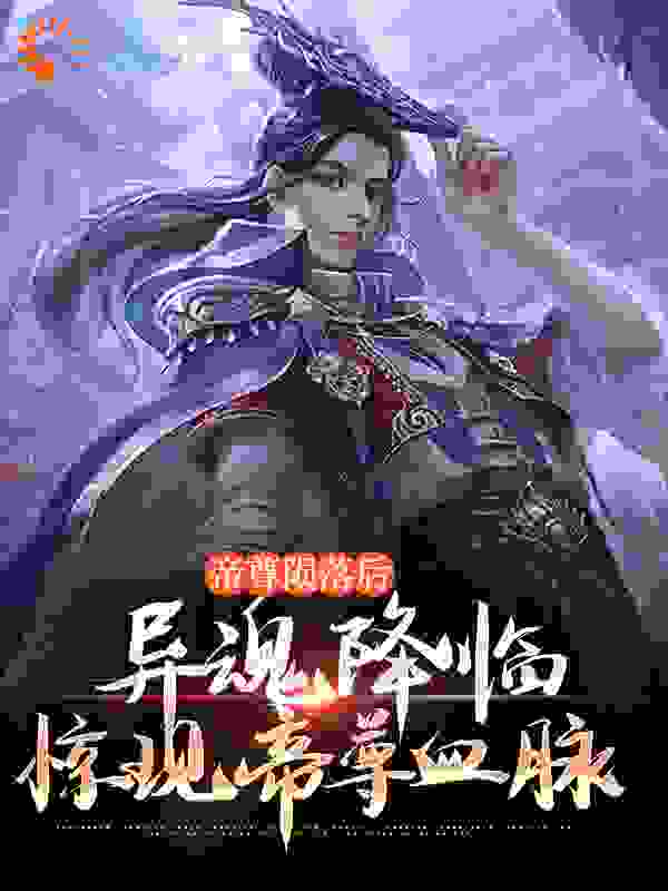 《林墨冷无言徐义风绫烟》小说