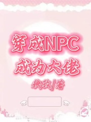 《穿成NPC成为大佬洛余冰止白洛余冰止白》洛余冰止白