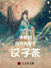 《江淩彦陆离林婉青》小说