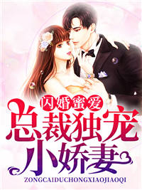 《闪婚蜜爱：总裁独宠小娇妻》盛莞莞慕斯盛灿白冰