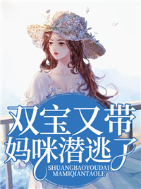 《双宝又带妈咪潜逃了》苏兮傅时琛苏沁苏宁