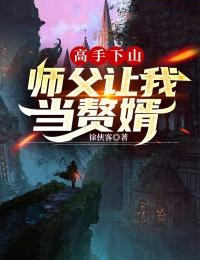 《高手下山：师父让我当赘婿林苏夏南希夏老太夏文华》林苏夏南希夏老太夏文华