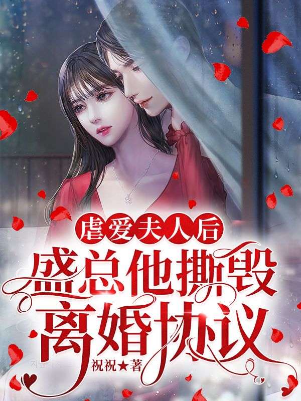 《虐爱夫人后，盛总他撕毁离婚协议》宁馨雨盛启轩宁衡水陆琪