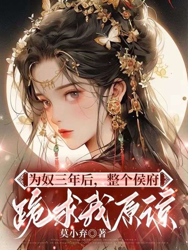 《为奴三年后，整个侯府跪求我原谅》乔念林烨林鸢林夫人